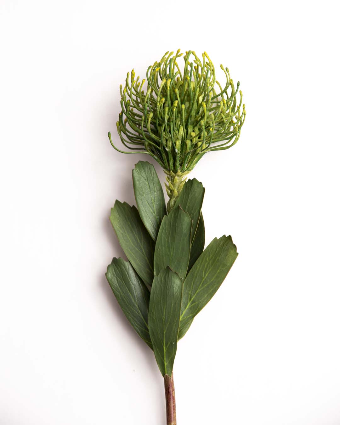 'Flame Flower' Decorative Faux Flower Stick - Green