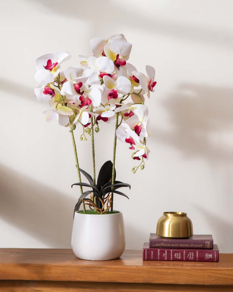 Classic White Orchid Artificial Flower Arrangement