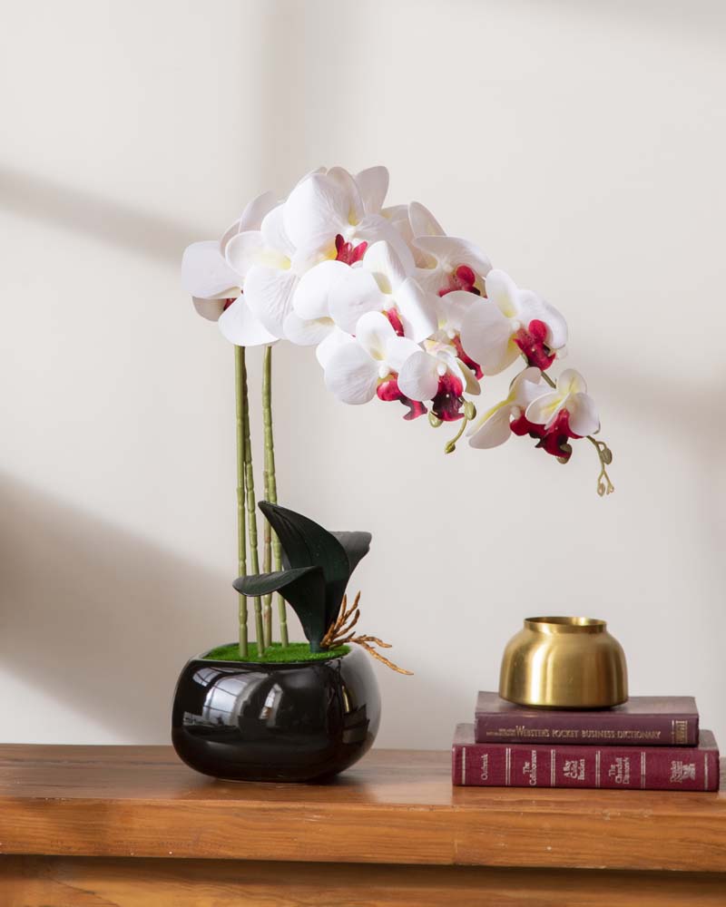 White Orchid Artificial Flower Arrangement