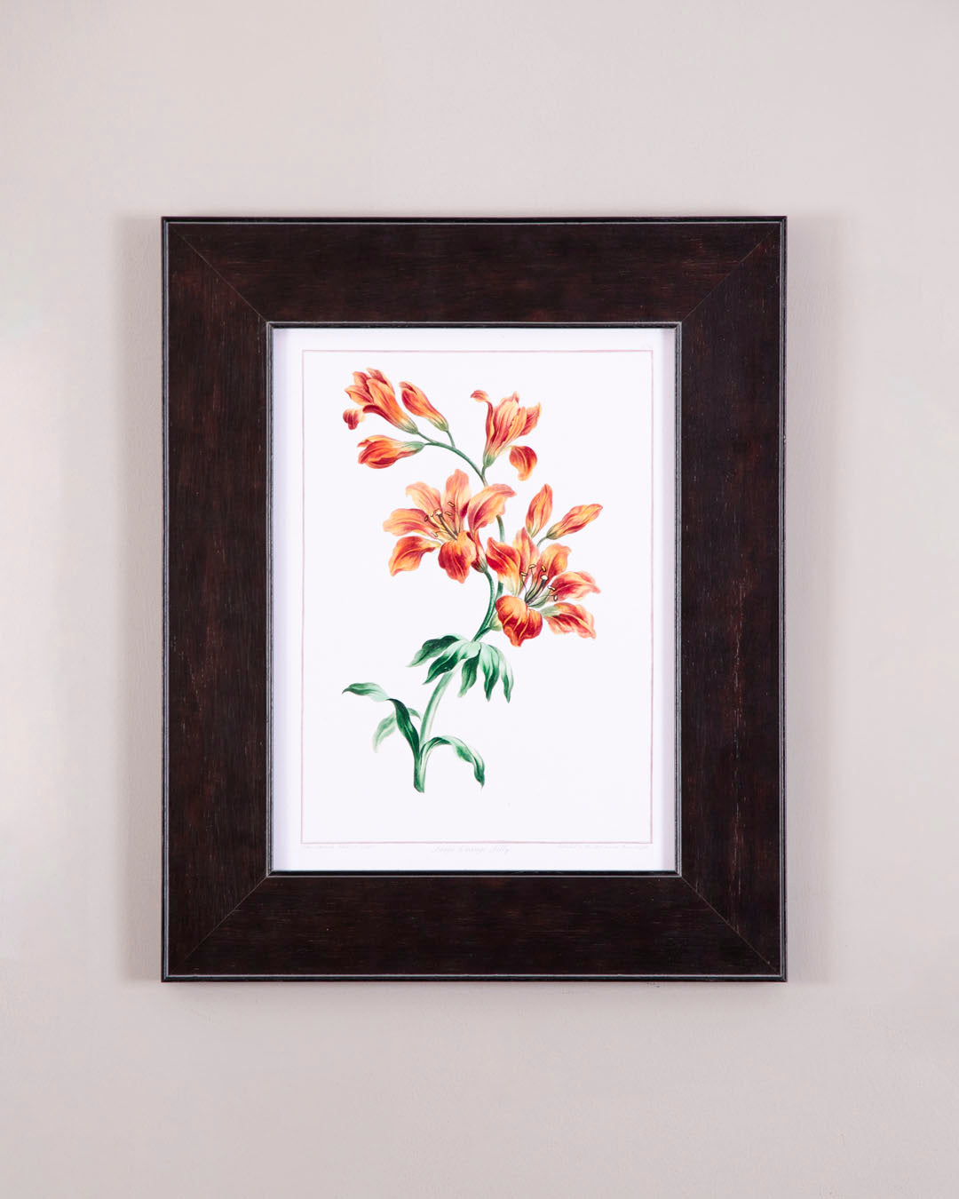 Blossoming Orange Lilies