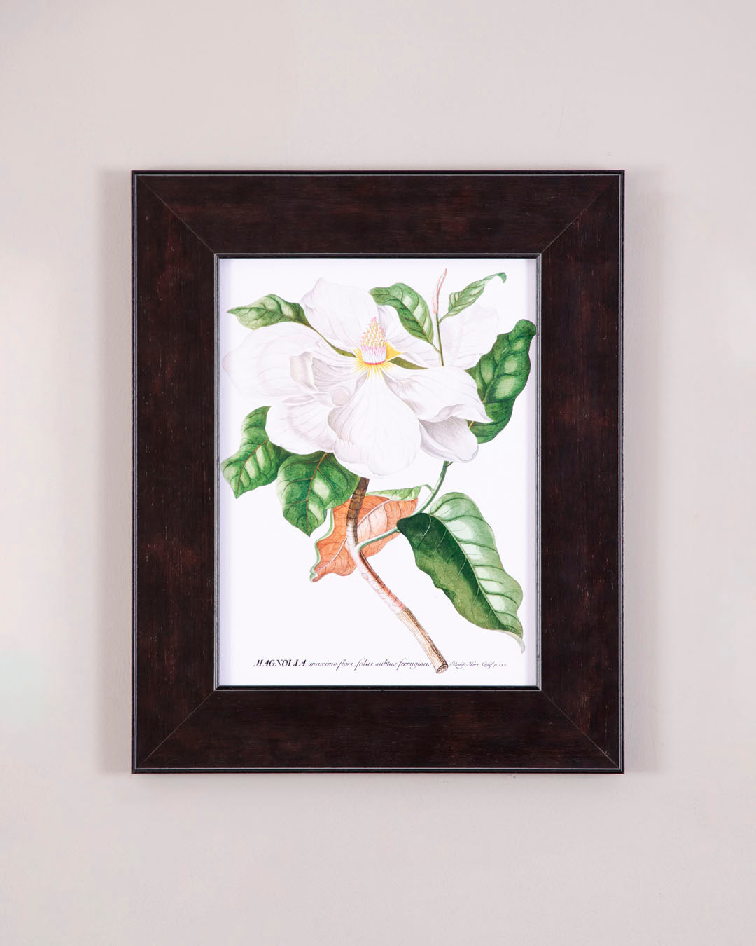 Magnolia Floral Print