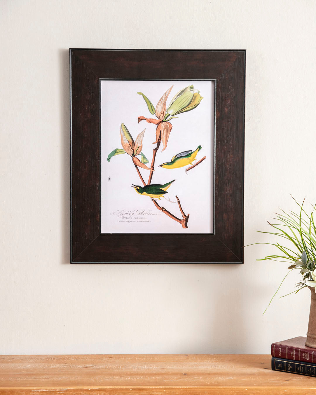 Kentucky Warbler Bird