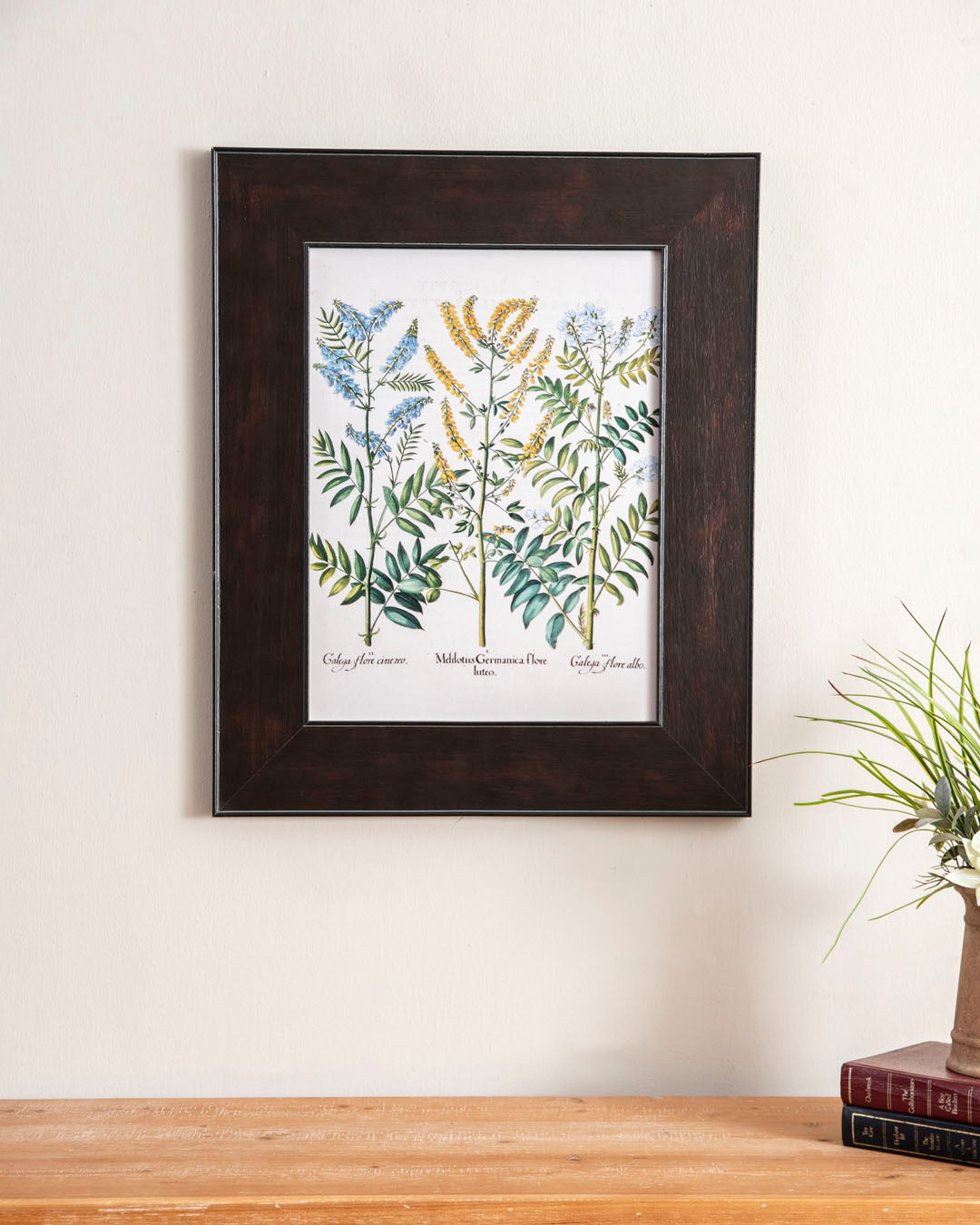 lithographs with corresponding caption