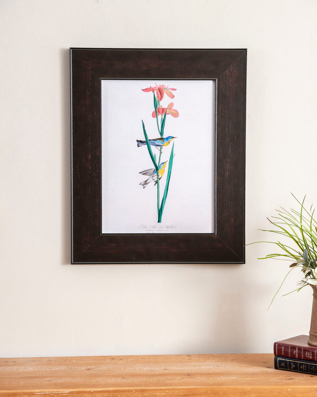 Blue Yellow Backed Warbler Bird