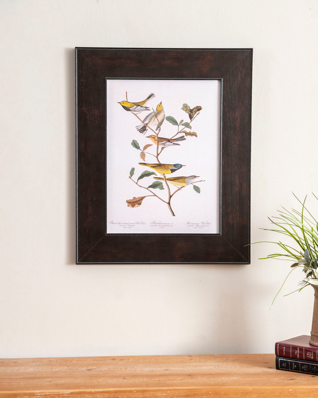 Black Throated Green Warbler, Blackburnian Warbler And Mourning Warbler Birds