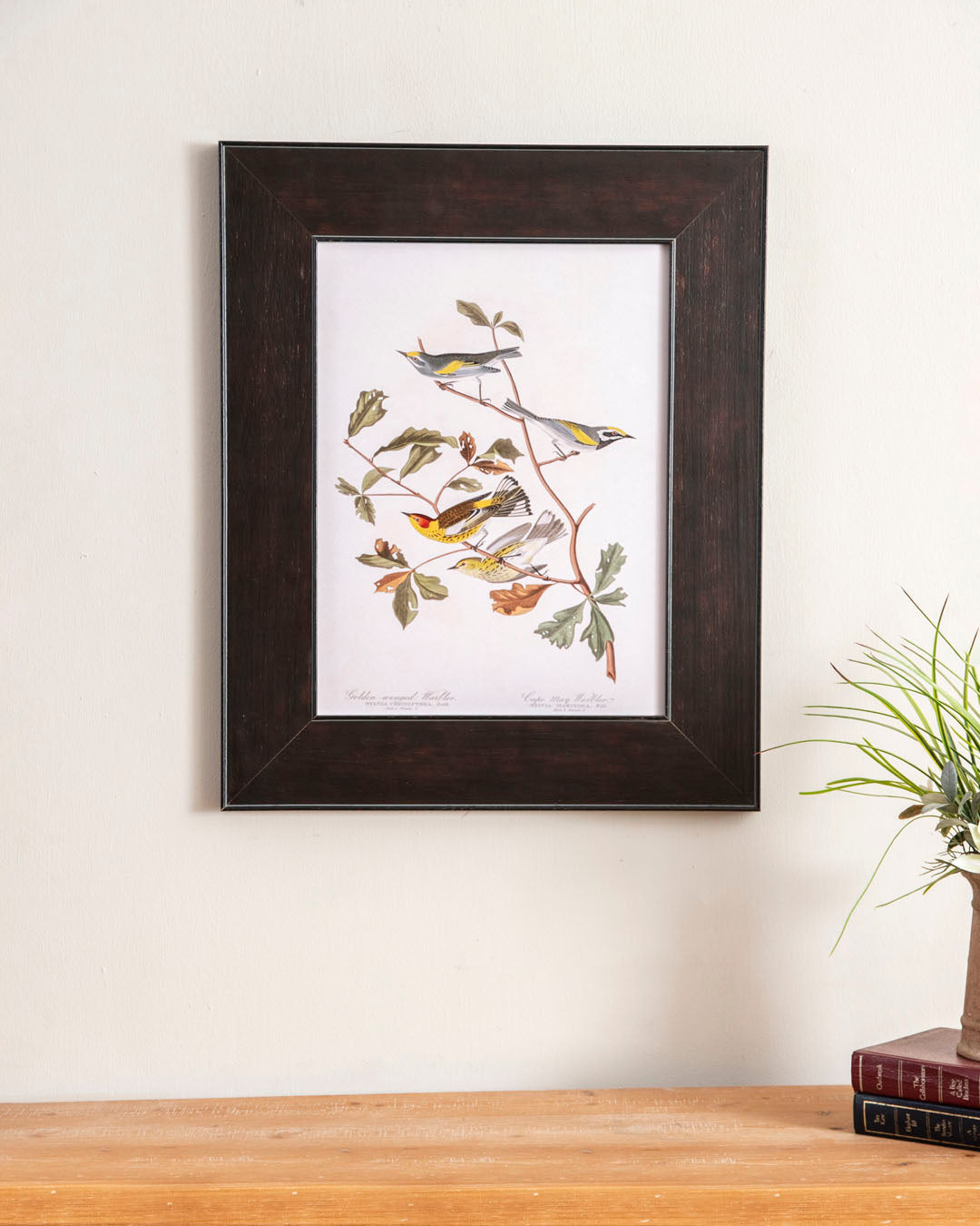 Golden Winged Warbler And Cape May Warbler Birds