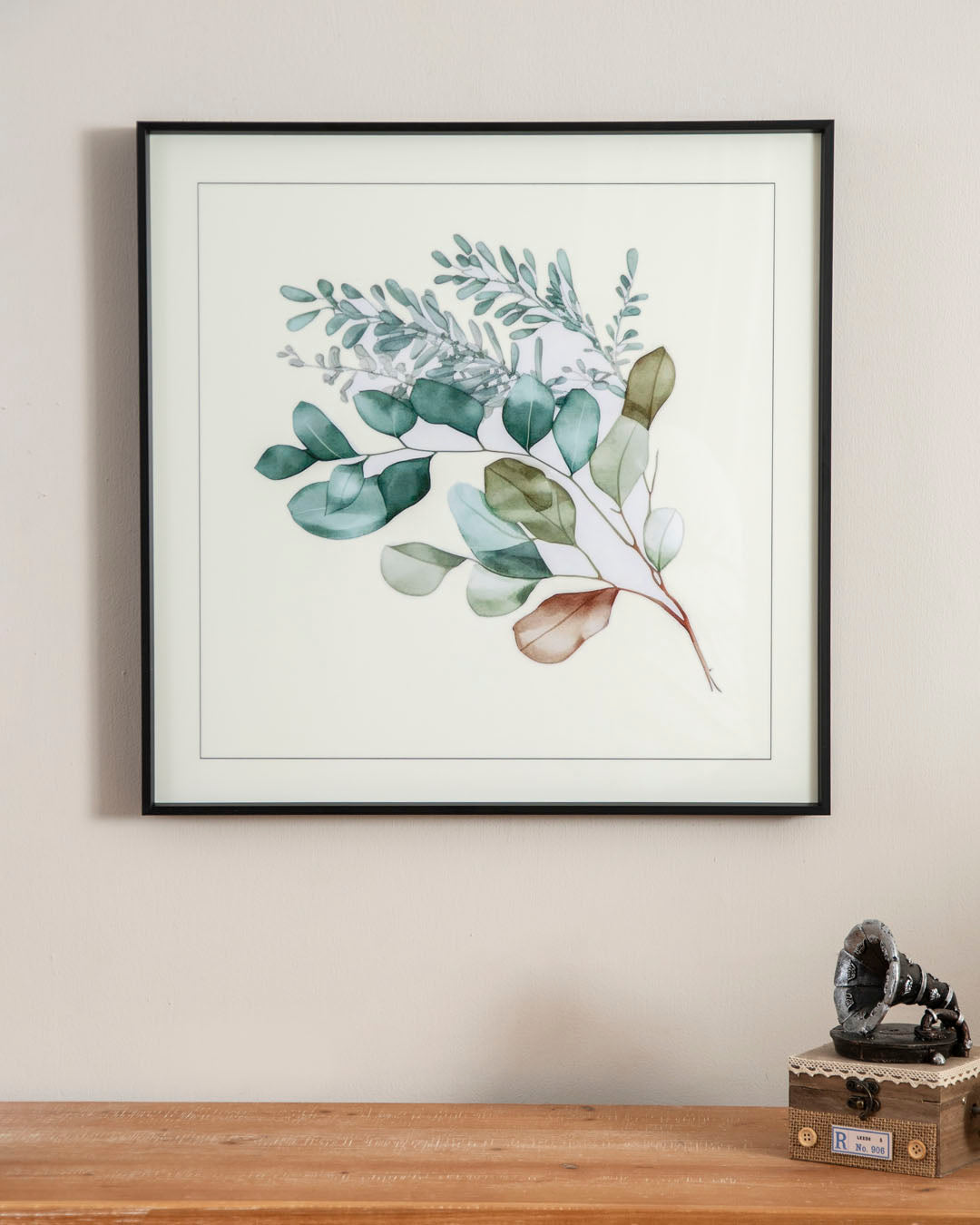 Eucalyptus Green Plant