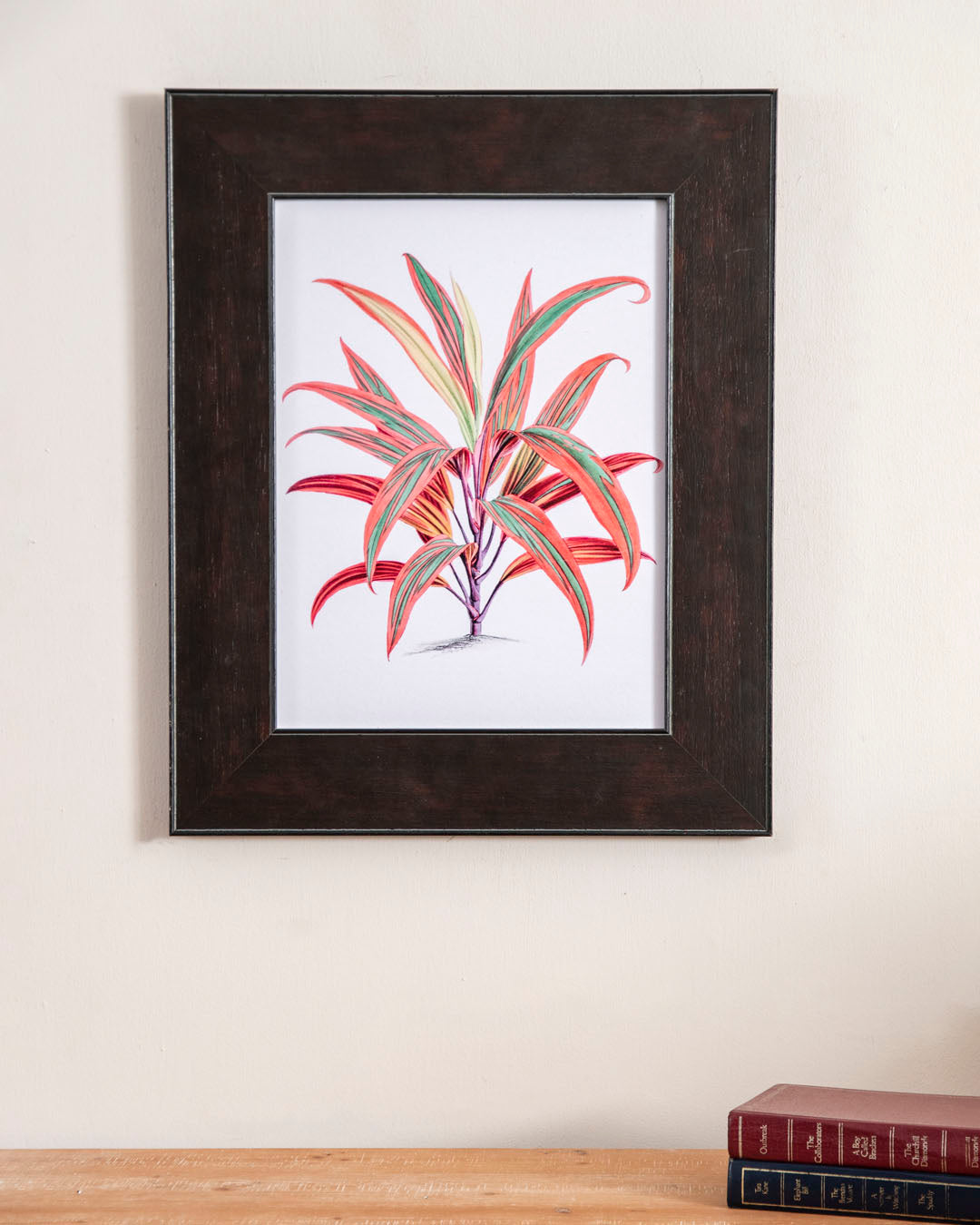 Beilschmiedia Taiaire Tawa