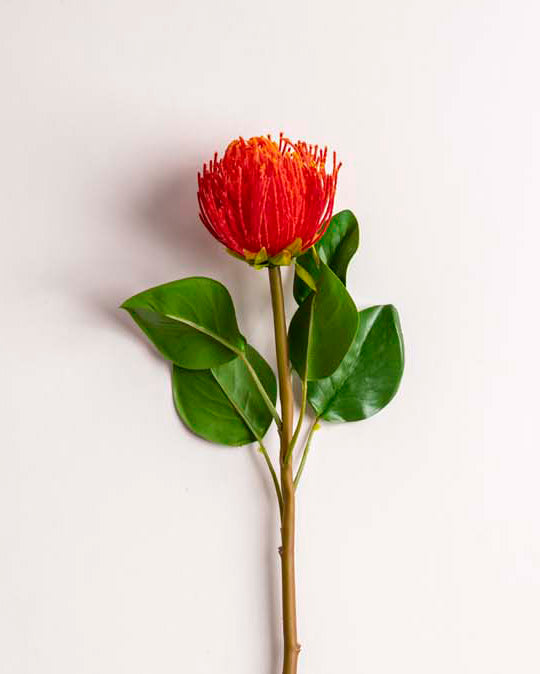 'Pincushion Flower' Decorative Faux Flower Stick - Red