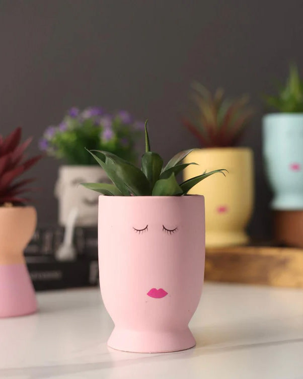 EMOJI - Faux Potted Succulent